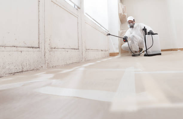24/7 Emergency Crawl Space Mold Removal experts in Greenville, GA
